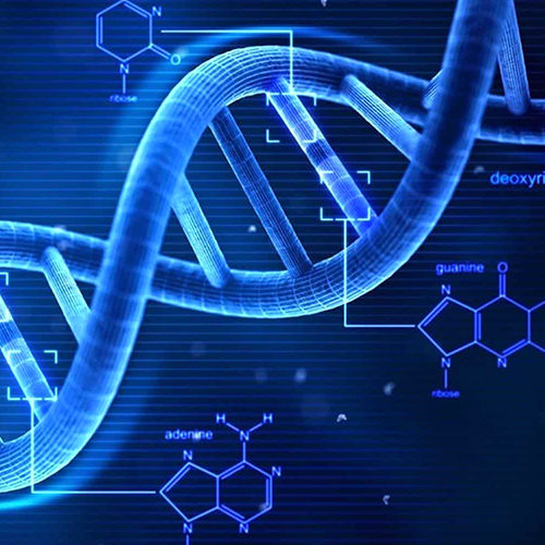 Dna2